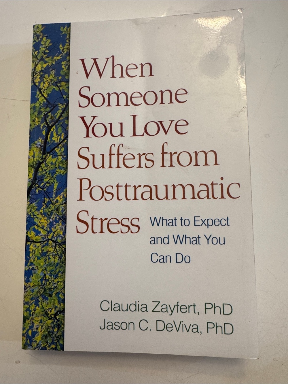 When Someone You Love Suffers from Posttraumatic Stress - Paperback
